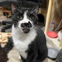 Thumbnail photo of Andy #3