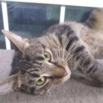 Thumbnail photo of Max #1
