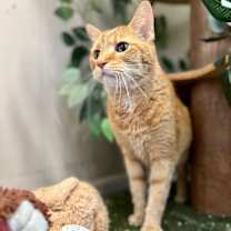 Thumbnail photo of Manny #1
