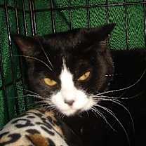 Thumbnail photo of Sabina #3