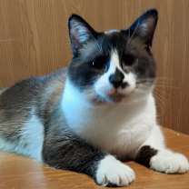 Thumbnail photo of JAKE #3
