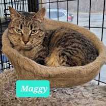 Thumbnail photo of Maggy #1