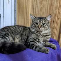 Thumbnail photo of Sugar #2