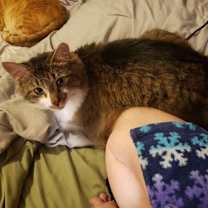 Thumbnail photo of Kanar #1