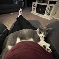 Thumbnail photo of Shelby #3