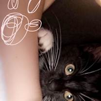 Thumbnail photo of Sampson #4