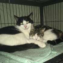 Thumbnail photo of Brandon bonded with Nancy #1