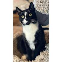 Thumbnail photo of Pepe #3
