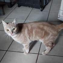 Thumbnail photo of Sahara #1