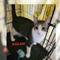 Thumbnail photo of Kailani #2