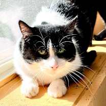 Thumbnail photo of BABY GIRL #1