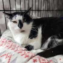 Thumbnail photo of Betty #1