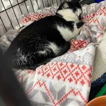 Thumbnail photo of Betty #2