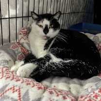 Thumbnail photo of Betty #3