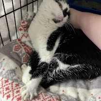 Thumbnail photo of Betty #4