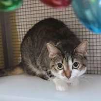 Thumbnail photo of Betty #2