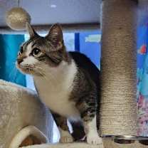Thumbnail photo of Betty #3