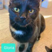 Thumbnail photo of Gloria #1