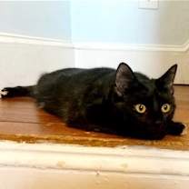 Thumbnail photo of Gloria #2