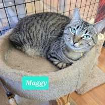 Thumbnail photo of Maggy #2