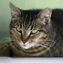 Thumbnail photo of Lindsay #1