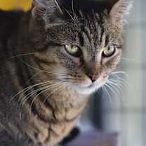 Thumbnail photo of Lindsay #4