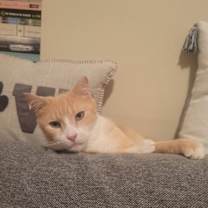 Thumbnail photo of Clyde #3