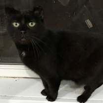 Thumbnail photo of Clover #3