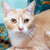 Thumbnail photo of Katch #1