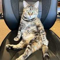 Thumbnail photo of Dutchess #2