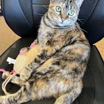 Thumbnail photo of Dutchess #3