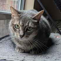 Thumbnail photo of NALA #2