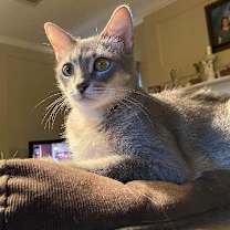 Thumbnail photo of NALA #4