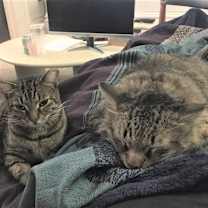Thumbnail photo of BUSTER & GIGI -True Love Story #4