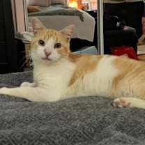 Thumbnail photo of George #1