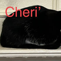 Thumbnail photo of Cheri’ #1