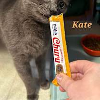 Thumbnail photo of KATE #1