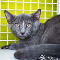 Thumbnail photo of Uma #2