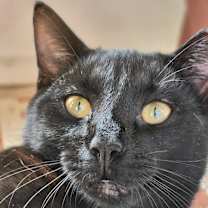 Thumbnail photo of Timothy #1
