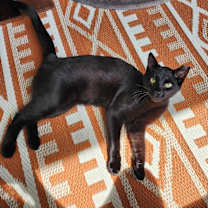 Thumbnail photo of Timothy #2