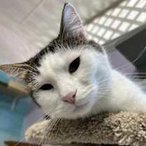 Thumbnail photo of Tony #2