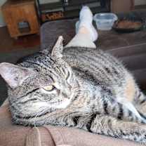 Thumbnail photo of Sweetie Pie #2