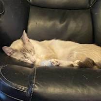 Thumbnail photo of Sasha #2