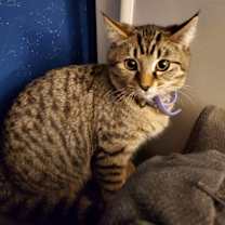 Thumbnail photo of ANNIE #4