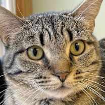 Thumbnail photo of Blossom #3