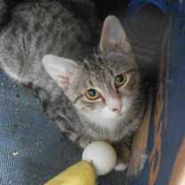 Thumbnail photo of MARCO & MARCELLO #4