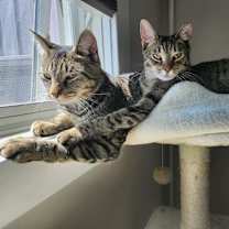 Thumbnail photo of Jax #4