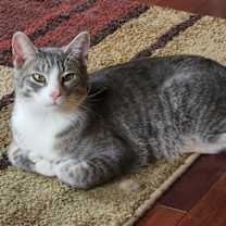 Thumbnail photo of Rudy #1
