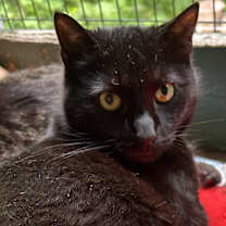 Thumbnail photo of Mumby #1
