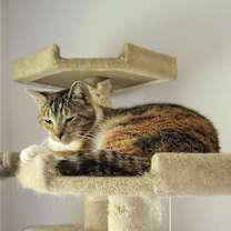 Thumbnail photo of Emma #1